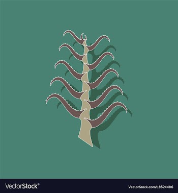 Paper sticker on stylish background plant aloe vector image