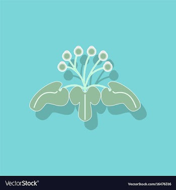 Paper sticker on stylish background plant arctium vector image