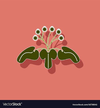 Paper sticker on stylish background plant arctium vector image
