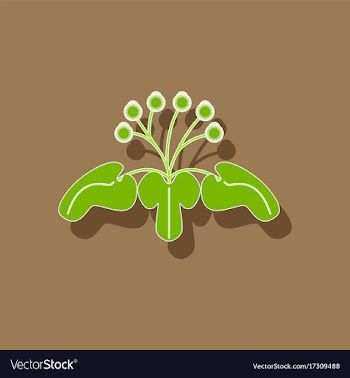 Paper sticker on stylish background plant arctium vector image