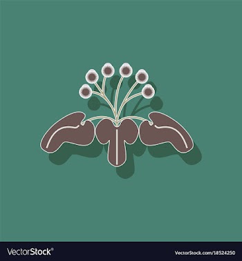 Paper sticker on stylish background plant arctium vector image