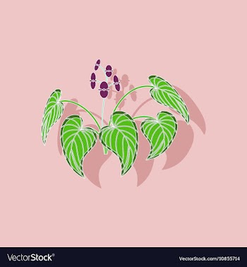 Paper sticker on stylish background plant Begonia vector image