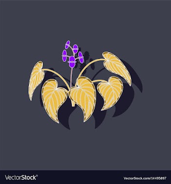 Paper sticker on stylish background plant begonia vector image