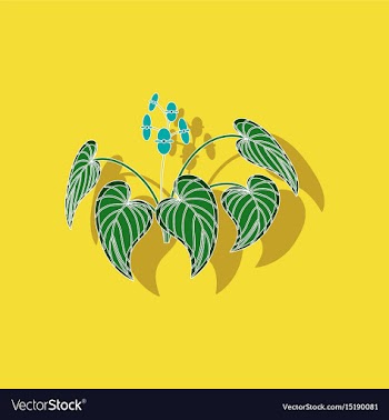 Paper sticker on stylish background plant begonia vector image