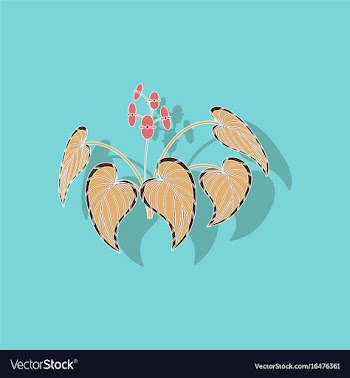 Paper sticker on stylish background plant begonia vector image