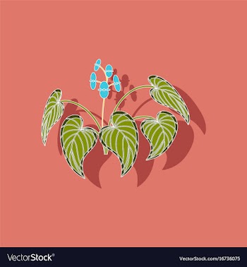 Paper sticker on stylish background plant begonia vector image