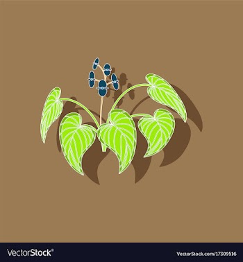 Paper sticker on stylish background plant begonia vector image