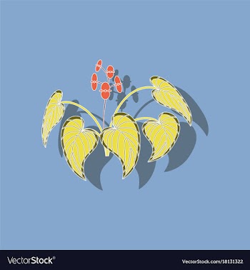 Paper sticker on stylish background plant begonia vector image