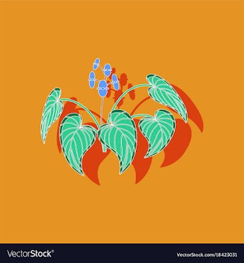 Paper sticker on stylish background plant begonia vector image