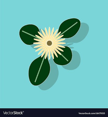 Paper sticker on stylish background plant bellis vector image