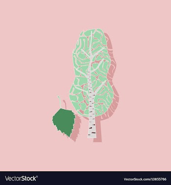 Paper sticker on stylish background plant Betula vector image
