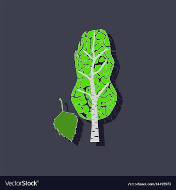 Paper sticker on stylish background plant betula vector image