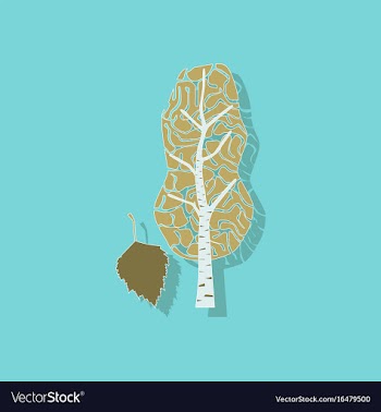 Paper sticker on stylish background plant betula vector image