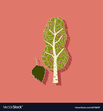 Paper sticker on stylish background plant betula vector image