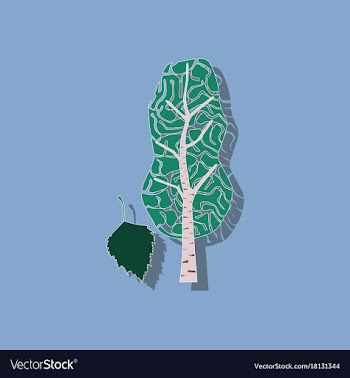 Paper sticker on stylish background plant betula vector image