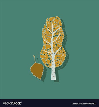 Paper sticker on stylish background plant betula vector image