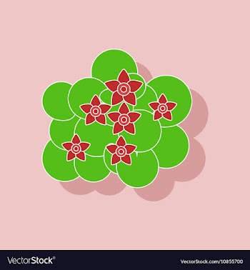 Paper sticker on stylish background plant Caltha vector image