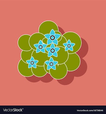 Paper sticker on stylish background plant caltha vector image