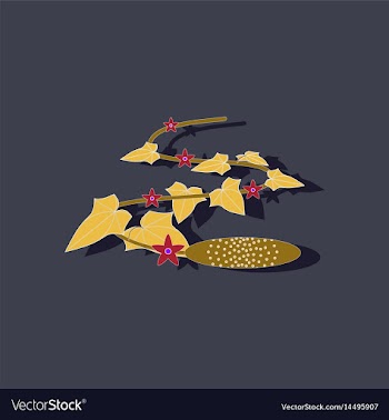 Paper sticker on stylish background plant cucumis vector image