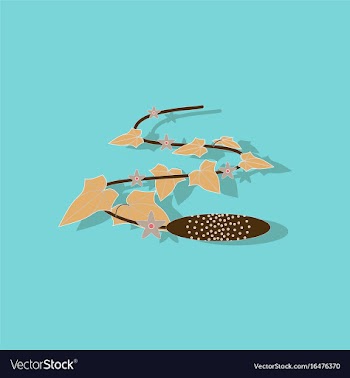 Paper sticker on stylish background plant cucumis vector image