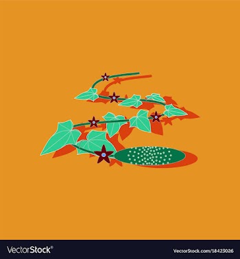 Paper sticker on stylish background plant cucumis vector image