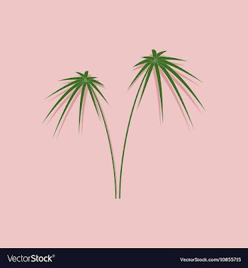 Paper sticker on stylish background plant Cyperus vector image