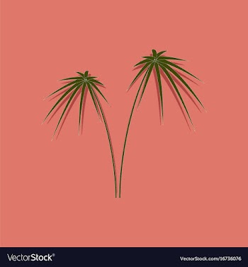 Paper sticker on stylish background plant cyperus vector image