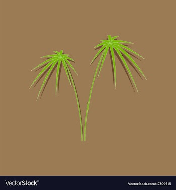 Paper sticker on stylish background plant cyperus vector image