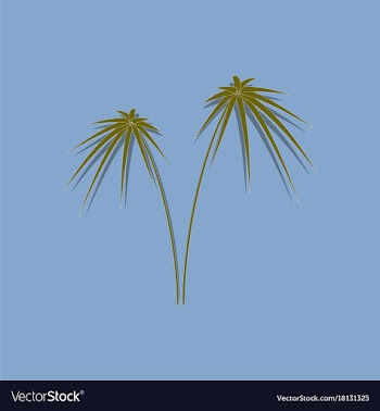Paper sticker on stylish background plant cyperus vector image