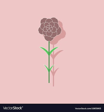 Paper sticker on stylish background plant Dianthus vector image