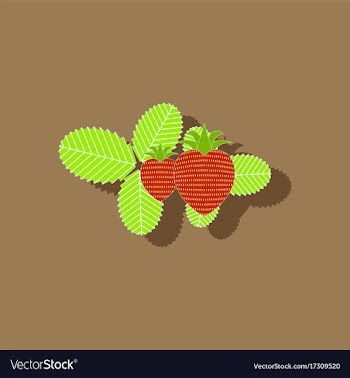 Paper sticker on stylish background plant fragaria vector image