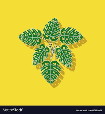 Paper sticker on stylish background plant monstera vector image