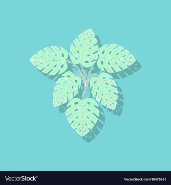 Paper sticker on stylish background plant monstera vector image