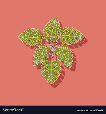 Paper sticker on stylish background plant monstera vector image
