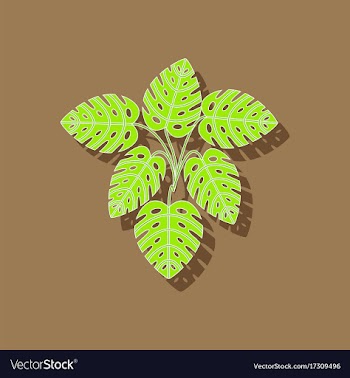 Paper sticker on stylish background plant monstera vector image