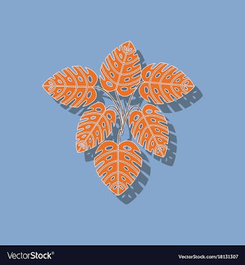 Paper sticker on stylish background plant monstera vector image