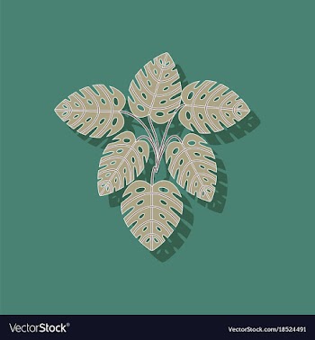 Paper sticker on stylish background plant monstera vector image