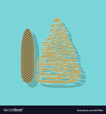 Paper sticker on stylish background plant picea vector image