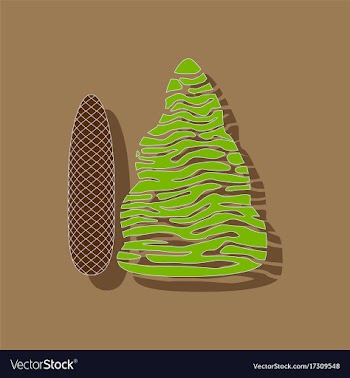 Paper sticker on stylish background plant picea vector image