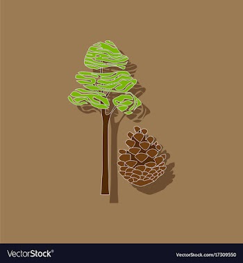 Paper sticker on stylish background plant pinus vector image