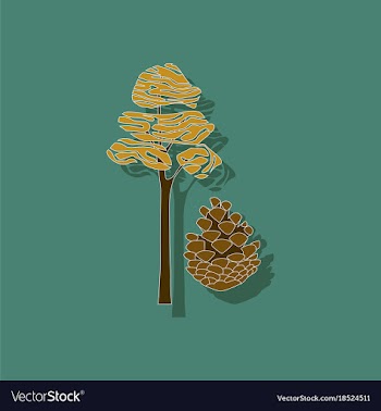 Paper sticker on stylish background plant pinus vector image