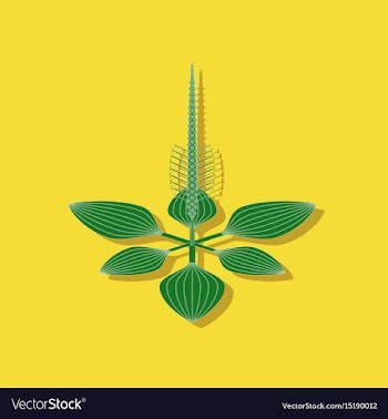 Paper sticker on stylish background plant plantago vector image