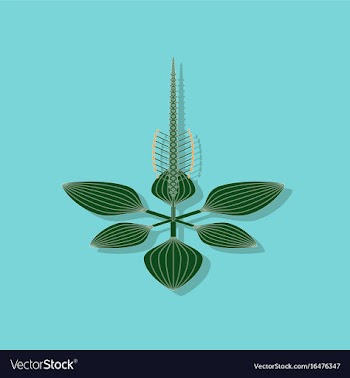 Paper sticker on stylish background plant plantago vector image