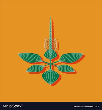 Paper sticker on stylish background plant plantago vector image