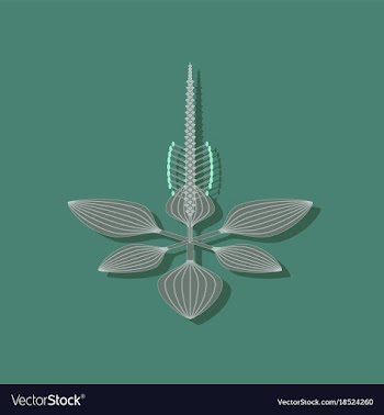 Paper sticker on stylish background plant plantago vector image