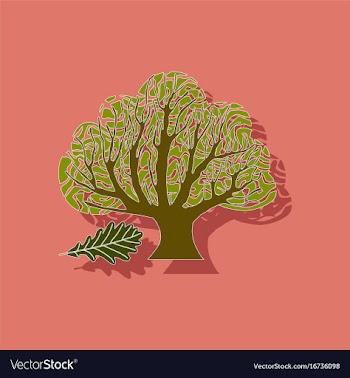 Paper sticker on stylish background plant quercus vector image