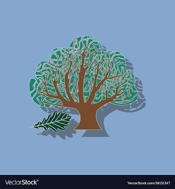 Paper sticker on stylish background plant quercus vector image