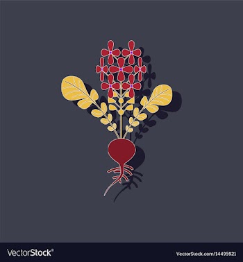 Paper sticker on stylish background plant raphanus vector image