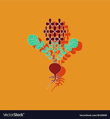 Paper sticker on stylish background plant raphanus vector image