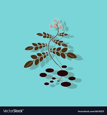 Paper sticker on stylish background plant solanum vector image